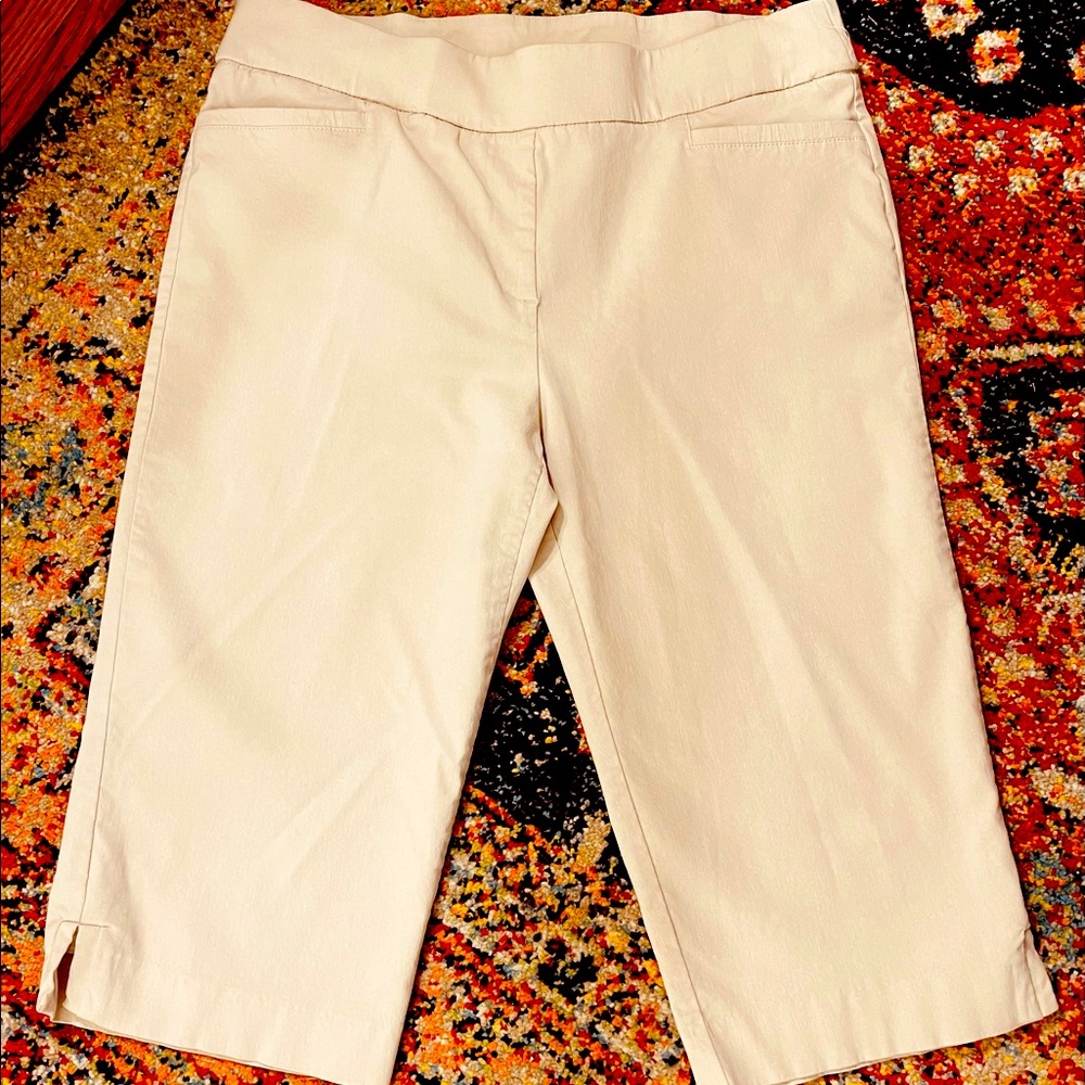 Capri Pants With Tummy Slim Front SZ. L